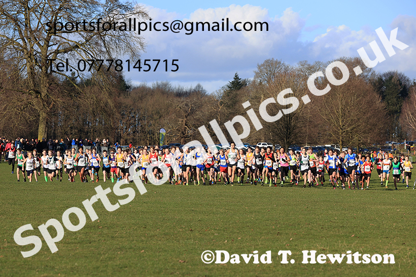 Boys under-13s 2025 Northern Cross Country Champs, Tatton Park, Knutsford, Cheshire. Photo: David T. Hewitson/Sports for All Pics